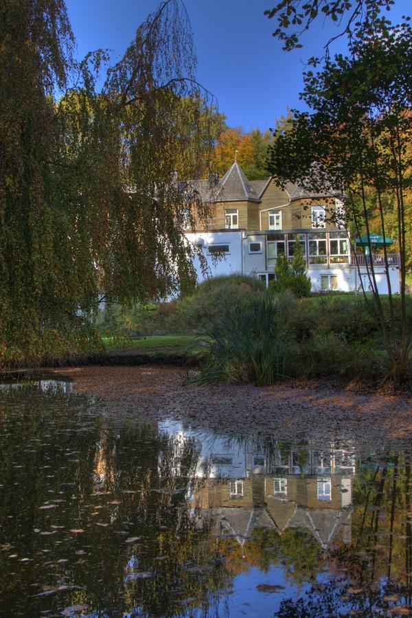 Parkhotel Villa Des Effats Виелсалм Екстериор снимка
